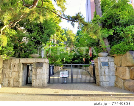 甲南大学 甲南大学 77440353