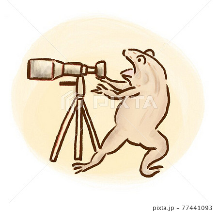 カメラを構えるカエルのイラスト素材