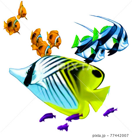 リアル風な熱帯魚のイラストのイラスト素材