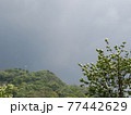 嵐のような天候。初夏の悪天候。5月の暗雲。 77442629