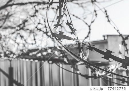 Barbed wire fence with a prison or closed facility fence 77442776