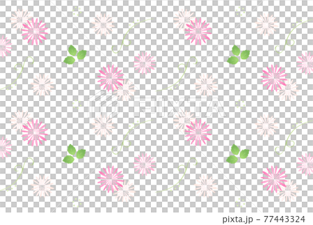 アスチルベ 77443324