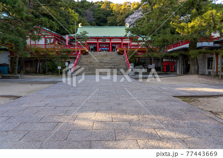 山口県下関市 春の赤間神宮境内 山口県下関市 春の赤間神宮境内 77443669