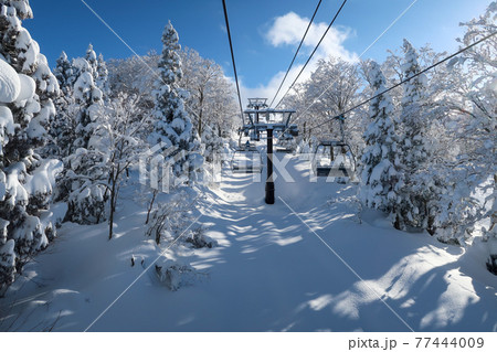 快晴の日本のスキーリゾート 77444009