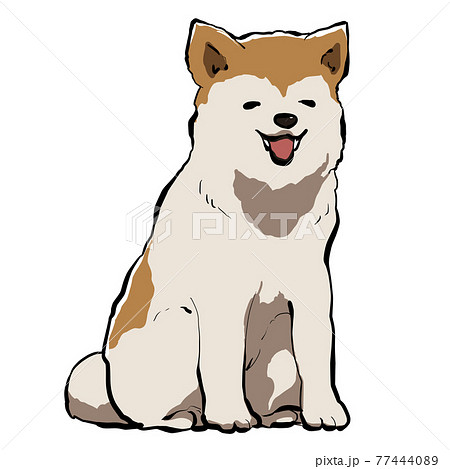リアルな笑顔の秋田犬のイラスト素材