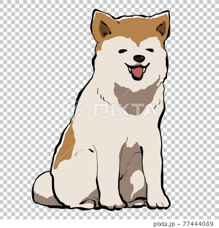 リアルな笑顔の秋田犬のイラスト素材