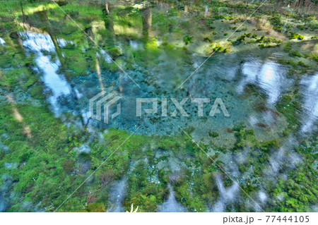 【白川水源】 熊本県阿蘇郡南阿蘇村白川 77444105