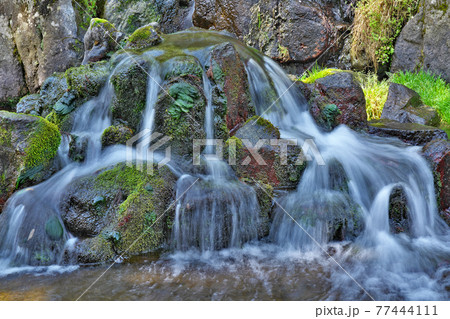 【白川水源】 熊本県阿蘇郡南阿蘇村白川 【白川水源】 熊本県阿蘇郡南阿蘇村白川 77444111