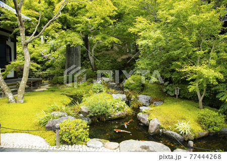 鎌倉 長谷寺 鎌倉 長谷寺 77444268