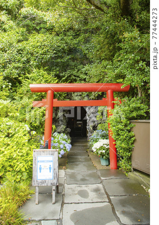 鎌倉 長谷寺 弁天窟 鎌倉 長谷寺 弁天窟 77444273