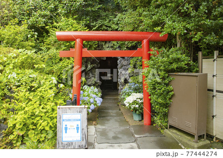 鎌倉　長谷寺　弁天窟 77444274
