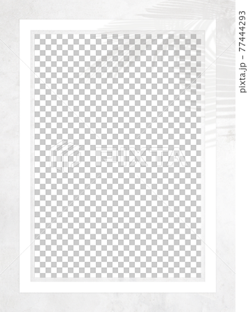 A refreshing frame with white walls and shadows of plants-there are multiple variations A refreshing frame with white walls and shadows of plants-there are multiple variations 77444293