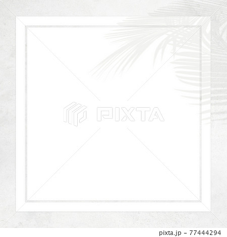 白い壁と植物の影で構成した爽やかな雰囲気のフレーム - 複数のバリエーションがあります 白い壁と植物の影で構成した爽やかな雰囲気のフレーム - 複数のバリエーションがあります 77444294