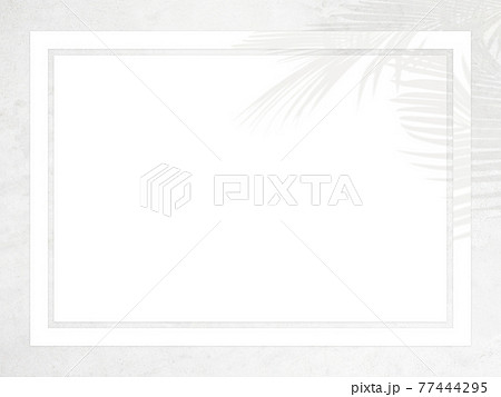 白い壁と植物の影で構成した爽やかな雰囲気のフレーム 複数のバリエーションがありますのイラスト素材