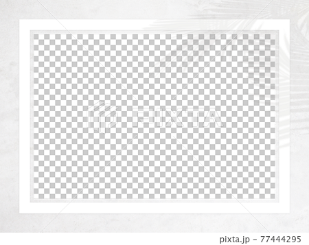 A refreshing frame with white walls and shadows of plants-there are multiple variations A refreshing frame with white walls and shadows of plants-there are multiple variations 77444295