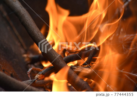 焚き火 77444355