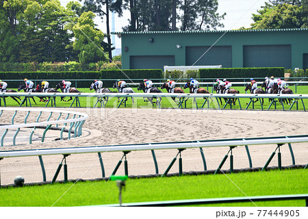 新緑の中京競馬 新緑の中京競馬 77444905