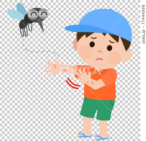 蚊に刺されて腕を掻く男の子 イラストのイラスト素材