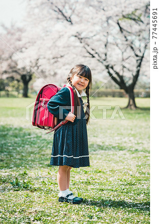 小学校入学 小学校入学 77445691