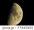 偃月ー半月　月明かり 77445835