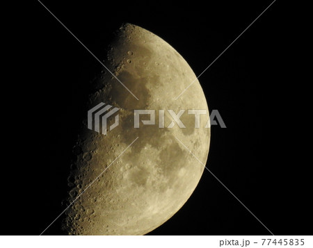 偃月ー半月　月明かり 77445835