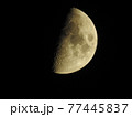 偃月ー半月　月明かり 77445837
