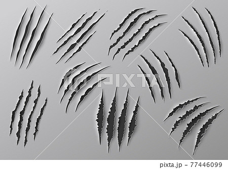 Claw marks, scratches, torn traces of animal paws 77446099