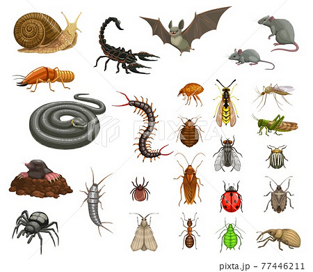 Agricultural, home pests, insects and animals set 77446211