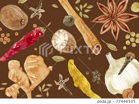 スパイス 香辛料　背景 模様 テキスタイル　水彩 イラスト 77446505