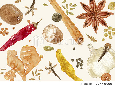 スパイス 香辛料　背景 模様 テキスタイル　水彩 イラスト 77446506
