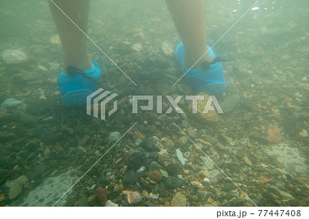 7 years old 77447408