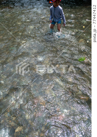 7 years old 7 years old 77447412