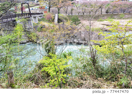 【群馬県利根郡】春の水上 諏訪峡 笹笛橋 77447470