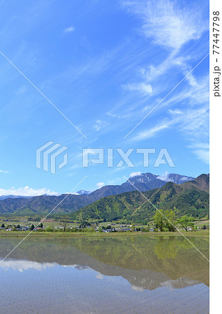 安曇野の5月　田植えのころ 77447798