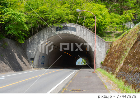 文化洞トンネル(毛無山登山口バス停付近) 文化洞トンネル(毛無山登山口バス停付近) 77447878