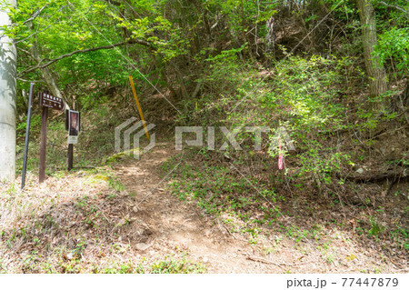 十二ヶ岳の登山口（桑留尾バス停側） 77447879