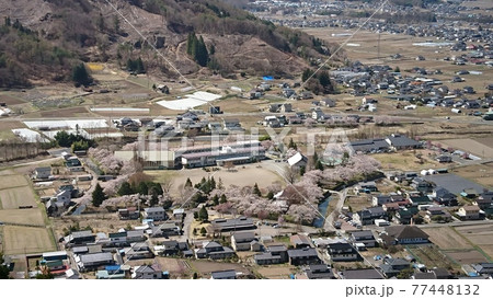 展望台からの桜咲く龍岡城五稜郭(2021年4月) 展望台からの桜咲く龍岡城五稜郭(2021年4月) 77448132