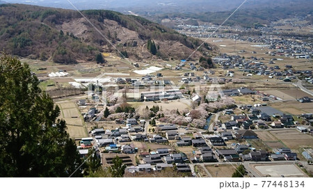 展望台からの桜咲く龍岡城五稜郭(2021年4月) 展望台からの桜咲く龍岡城五稜郭(2021年4月) 77448134