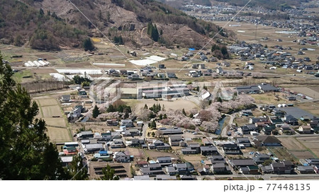 展望台からの桜咲く龍岡城五稜郭(2021年4月) 展望台からの桜咲く龍岡城五稜郭(2021年4月) 77448135