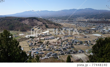 展望台からの桜咲く龍岡城五稜郭(2021年4月) 展望台からの桜咲く龍岡城五稜郭(2021年4月) 77448140