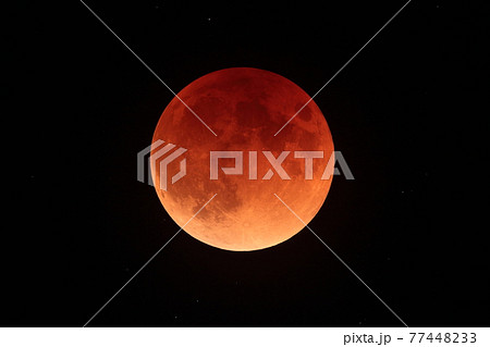 皆既月食中の赤い月 77448233