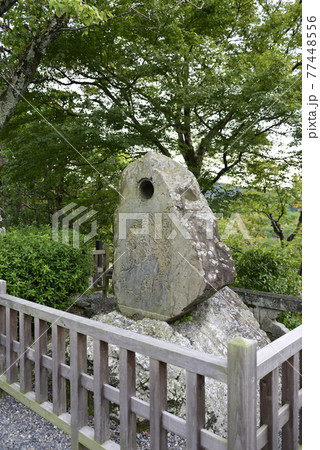 清水寺 岸駒「虎の図・石灯篭」八方睨みの虎 清水寺 岸駒「虎の図・石灯篭」八方睨みの虎 77448556
