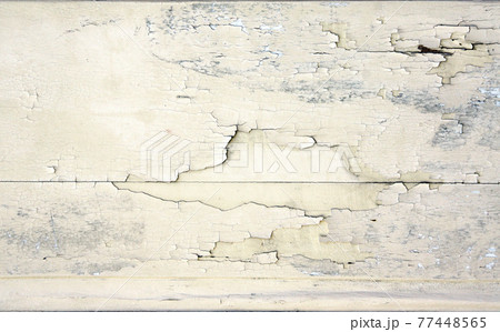 Ancient wooden planks with cracked paint Ancient wooden planks with cracked paint 77448565