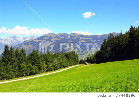 View of idyllic mountain scenery in the Alps, Austria 77448596