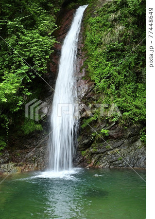 秩父華厳の滝 秩父華厳の滝 77448649