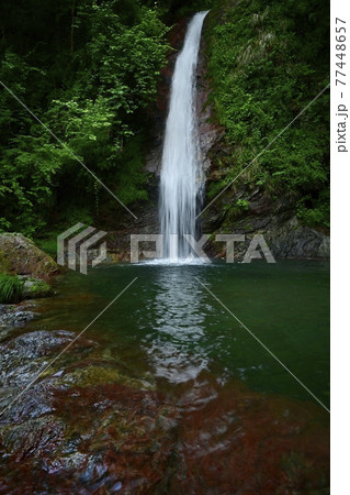 秩父華厳の滝 秩父華厳の滝 77448657