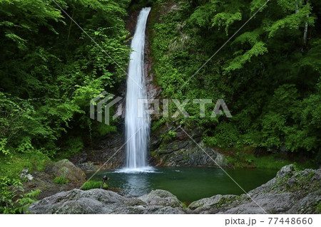 秩父華厳の滝 77448660