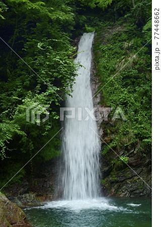 秩父華厳の滝 秩父華厳の滝 77448662