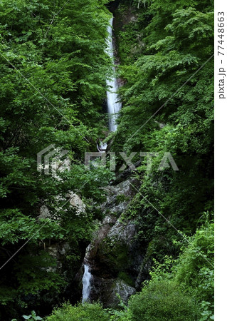 秩父華厳の滝 秩父華厳の滝 77448663