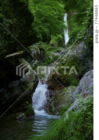 秩父華厳の滝 秩父華厳の滝 77448665
